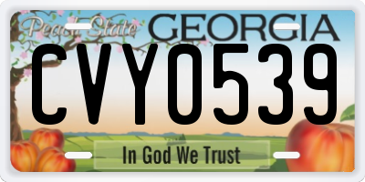 GA license plate CVY0539