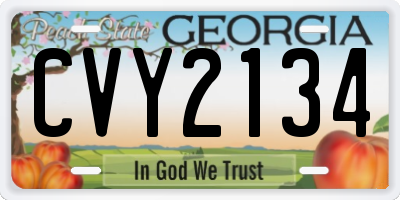 GA license plate CVY2134
