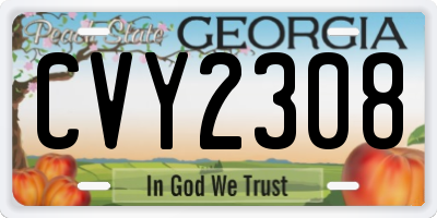 GA license plate CVY2308