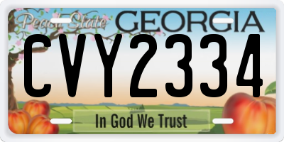 GA license plate CVY2334