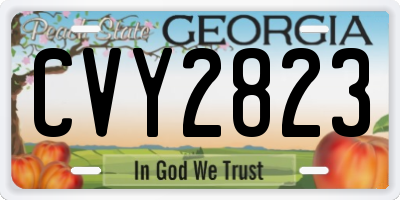 GA license plate CVY2823