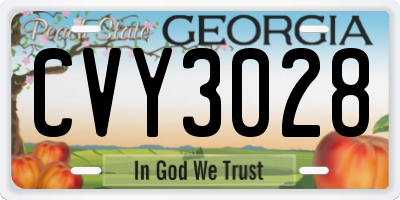 GA license plate CVY3028