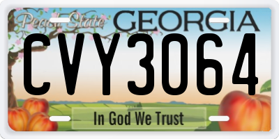 GA license plate CVY3064