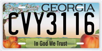 GA license plate CVY3116