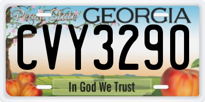 GA license plate CVY3290