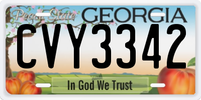 GA license plate CVY3342