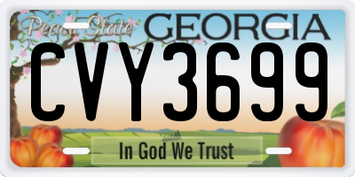 GA license plate CVY3699