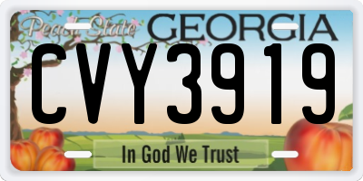 GA license plate CVY3919