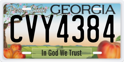 GA license plate CVY4384