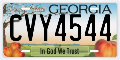 GA license plate CVY4544