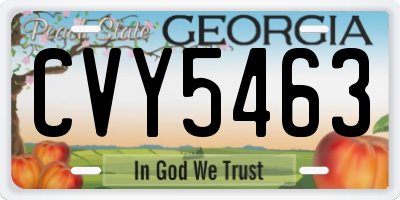 GA license plate CVY5463