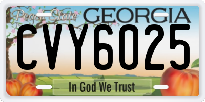 GA license plate CVY6025