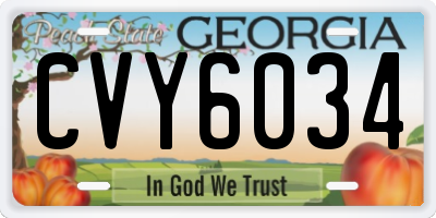GA license plate CVY6034