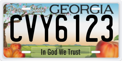 GA license plate CVY6123