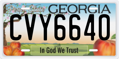 GA license plate CVY6640