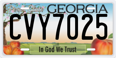 GA license plate CVY7025