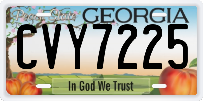 GA license plate CVY7225