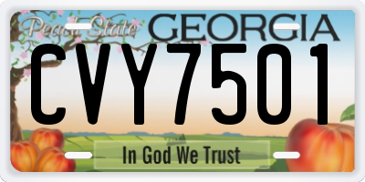 GA license plate CVY7501