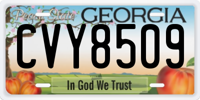 GA license plate CVY8509