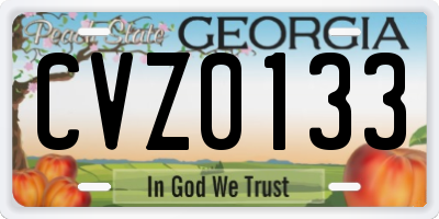 GA license plate CVZ0133