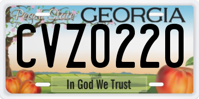 GA license plate CVZ0220