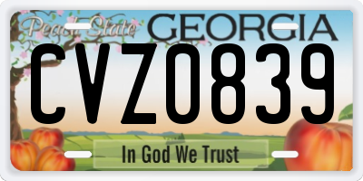 GA license plate CVZ0839