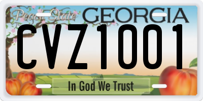 GA license plate CVZ1001