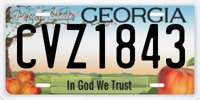 GA license plate CVZ1843