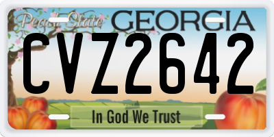 GA license plate CVZ2642