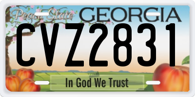 GA license plate CVZ2831