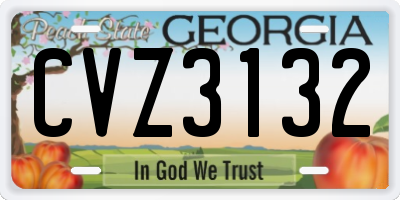 GA license plate CVZ3132