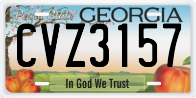 GA license plate CVZ3157