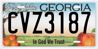 GA license plate CVZ3187