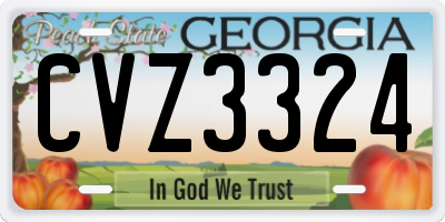 GA license plate CVZ3324