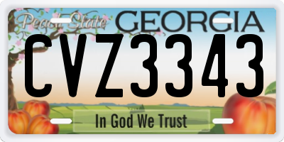 GA license plate CVZ3343