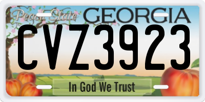 GA license plate CVZ3923