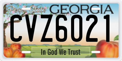 GA license plate CVZ6021