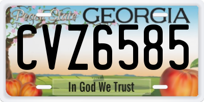 GA license plate CVZ6585