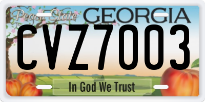 GA license plate CVZ7003