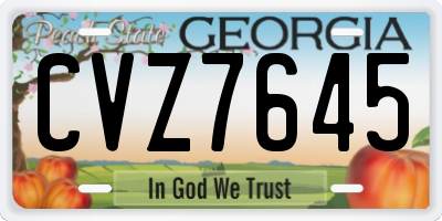 GA license plate CVZ7645