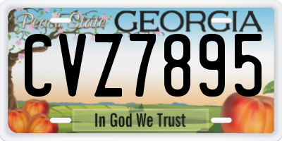 GA license plate CVZ7895