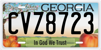 GA license plate CVZ8723