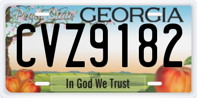 GA license plate CVZ9182
