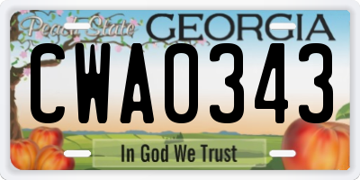 GA license plate CWA0343