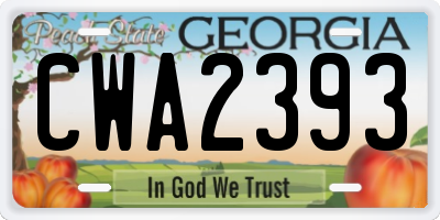 GA license plate CWA2393