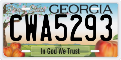 GA license plate CWA5293