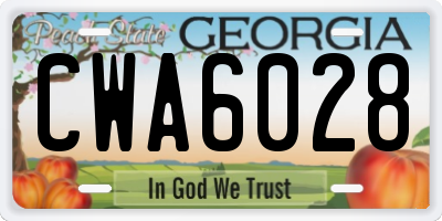 GA license plate CWA6028