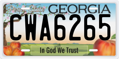 GA license plate CWA6265