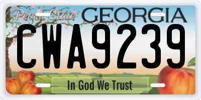 GA license plate CWA9239