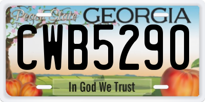 GA license plate CWB5290